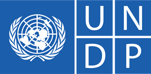 UNDP : 
